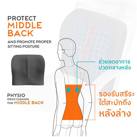 เซตคู่เบาะรองนั่ง-เบาะรองหลัง ERGOTREND 16.8X16.8 นิ้ว สีเทา_5