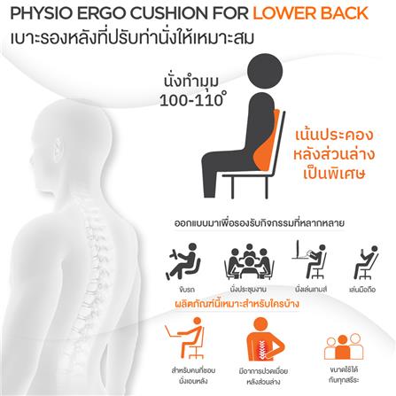 เซตคู่เบาะรองนั่ง-เบาะรองหลัง ERGOTREND 18X14 นิ้ว สีเทา_11