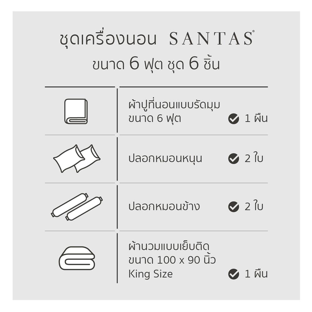 ชุดผ้าปูที่นอน 6 ฟุต 6 ชิ้น SANTAS VIVACIOUS VI