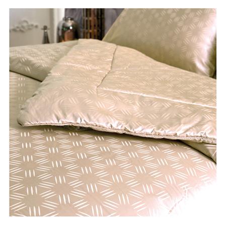 ชุดผ้าปูที่นอน 3.5 ฟุต 3 ชิ้น JESSICA PLATINUM 21045QZ002_1