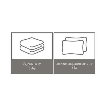 ชุดผ้าปูที่นอน 6 ฟุต 3 ชิ้น PERICO REGAL PRINT RE247_5