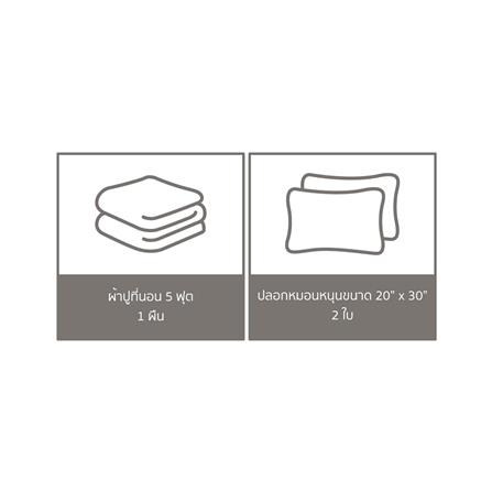 ชุดผ้าปูที่นอน 5 ฟุต 3 ชิ้น PERICO REGAL PRINT RE247_5