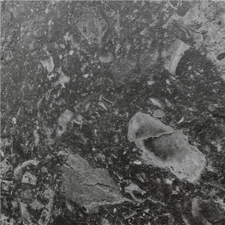 กระเบื้องพื้นพอร์ซเลน  16x16 นิ้ว COTTO ฟอสซิโอ ดำ HYG PM 0.96 ตร.ม._2