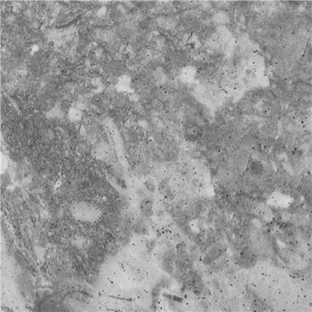 กระเบื้องพื้นพอร์ซเลน  16x16 นิ้ว COTTO ฟอสซิโอ เทา HYG PM 0.96 ตร.ม._2