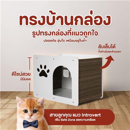 ที่ลับเล็บแมว LUVORA CATHOME 3 ทรงกล่อง_5