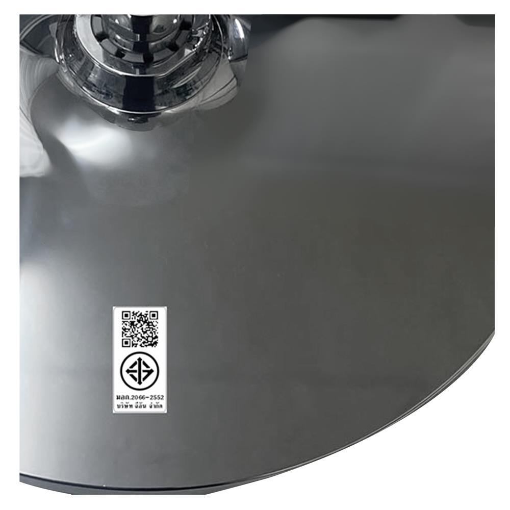 ฝักบัวก้านแข็ง HANG WS-434OH 25 ซม. สีโครม