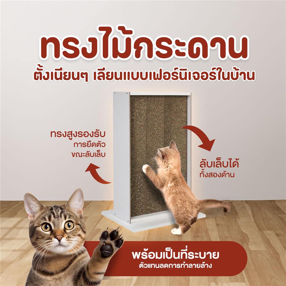ที่ลับเล็บแมว LUVORA CATHOME 4 ทรงสี่เหลี่ยม