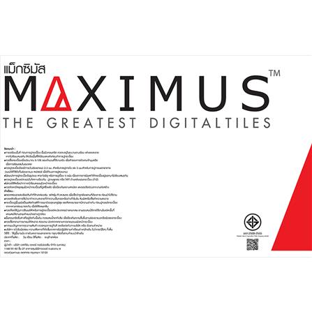 กระเบื้องพื้นพอร์ซเลน 60x60 ซม. MAxIMUS อโลฮะ น้ำเงิน A 1.44 ตร.ม._6