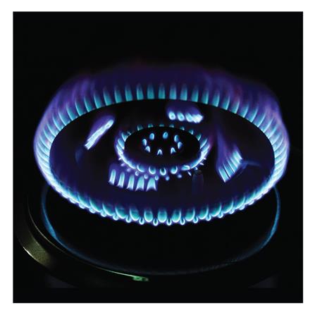 เตาฝังแก๊ส DYNA HOME DH-300-SJF 78 ซม._3