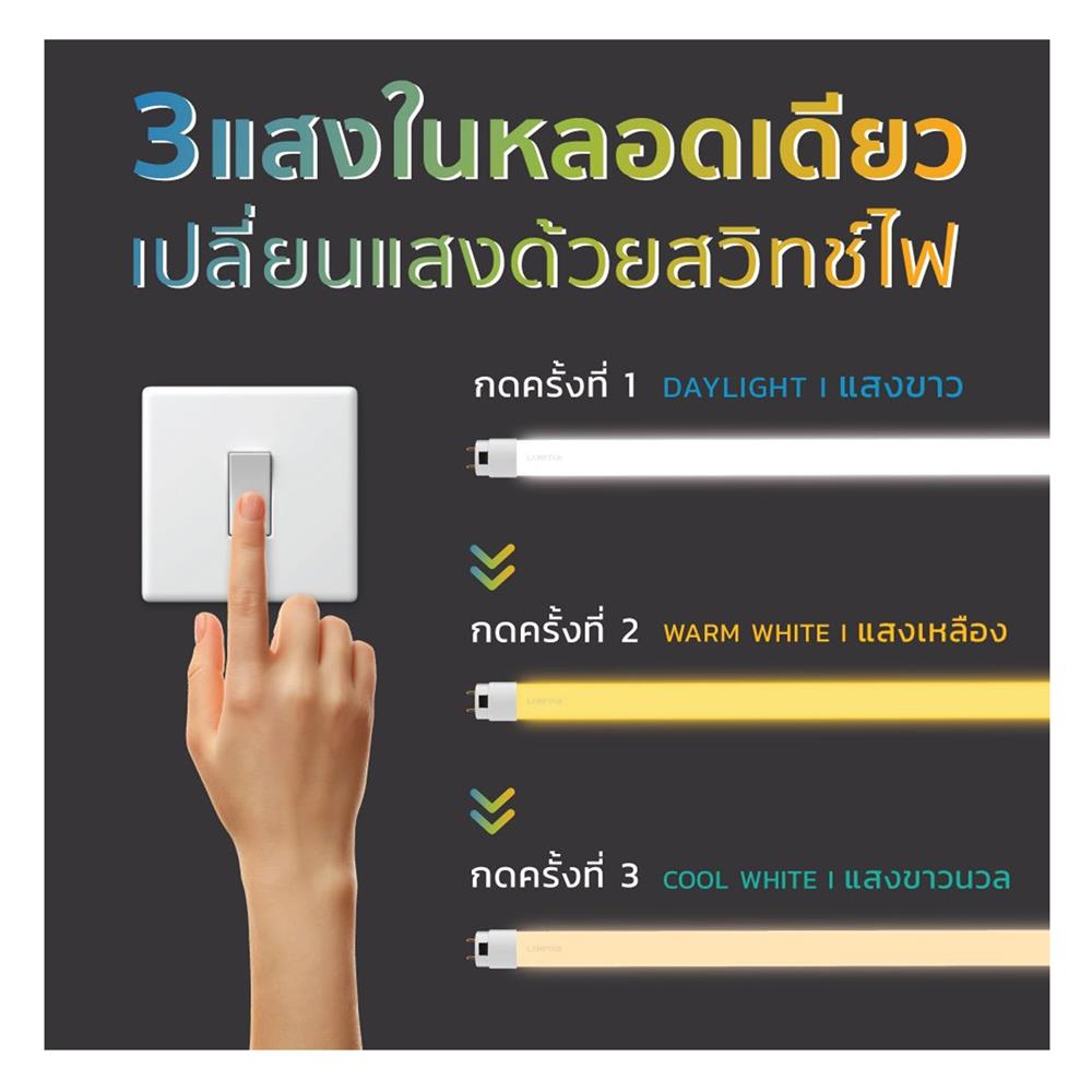 หลอด LED สั้น LAMPTAN TUBE COLOUR SWITCH GOLD LYN GUARD 10 วัตต์ DAYLIGHT/COOL WHITE/WARM WHITE G13