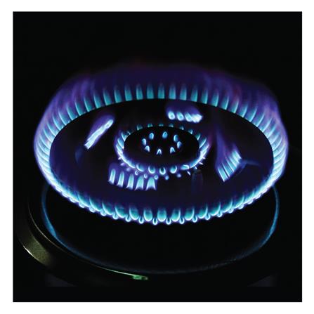 เตาฝังแก๊ส DYNA HOME DH-200-SJF 78 ซม._3