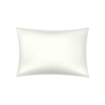 ปลอกหมอนหนุน BEWELL PC01-WH สีขาว_0