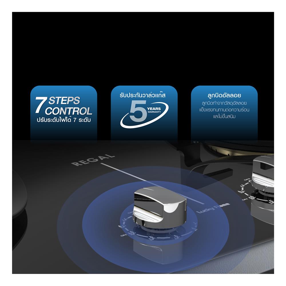 เตาฝังแก๊ส LUCKY FLAME LGS-9102 76 ซม.