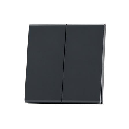 ชุดสวิตซ์ 1 ทาง 2 ช่อง SAHN D021-BL สีดำ_2