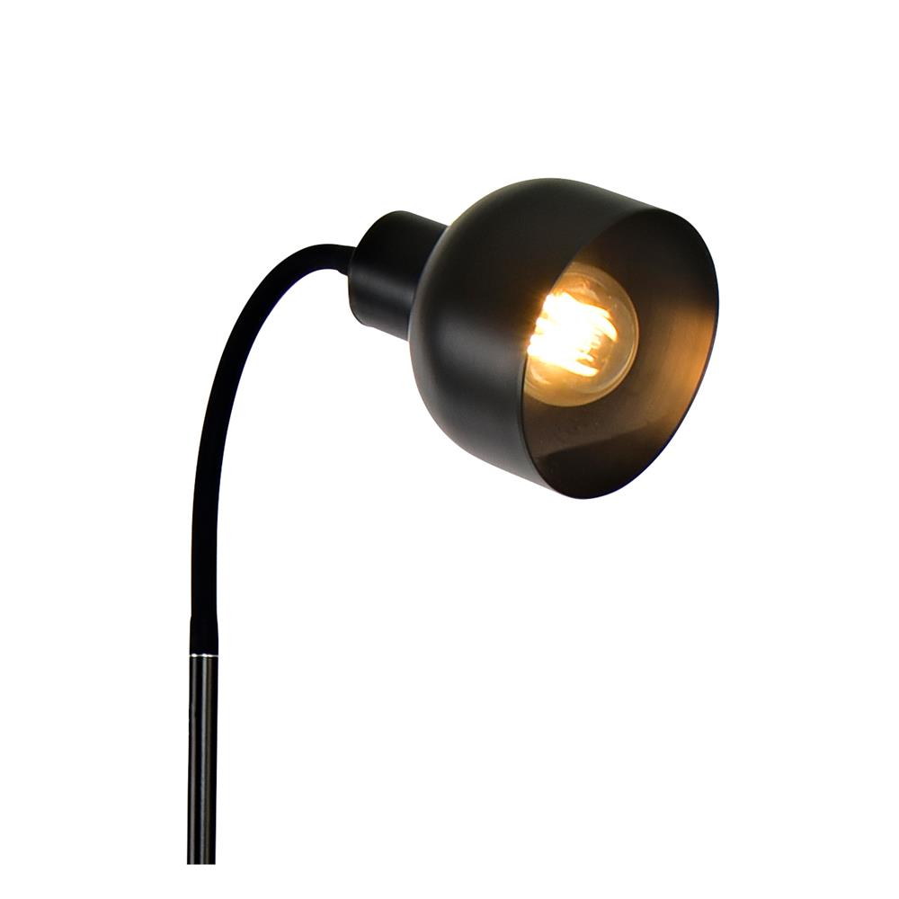 ไฟตั้งพื้น CARINI F121095 สีดำ 1 หัว