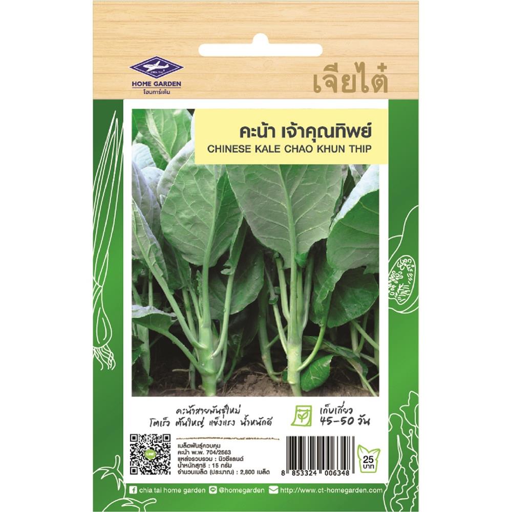 เมล็ดพันธุ์คะน้า เจ้าคุณทิพย์ ตราเจียไต๋ โฮมการ์เด้น 15 ก.