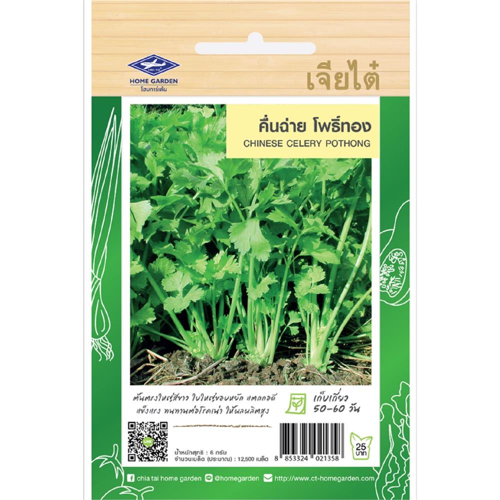 เมล็ดพันธุ์คื่นฉ่าย โพธิ์ทอง ตราเจียไต๋ โฮมการ์เด้น 6 ก.