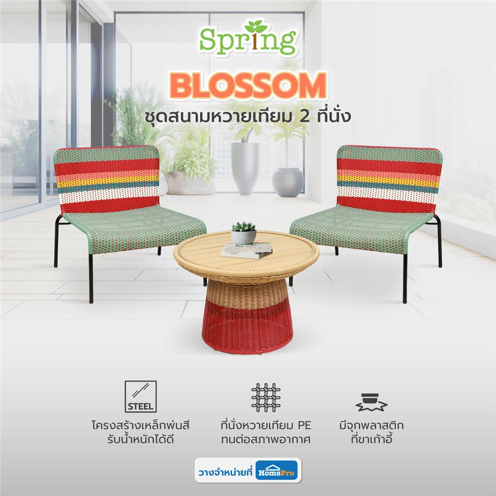 ชุดสนามหวายเทียม 2 ที่นั่ง SPRING BLOSSOM สีเบจ/แดง