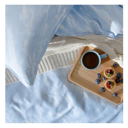 ชุดผ้าปูที่นอน 6 ฟุต 5 ชิ้น DUNLOPILLO EMPERADOR DL-EM-01_4