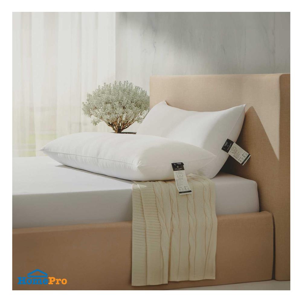 หมอน BODY ไมโครไฟเบอร์ LOTUS ATTITUDE ANTI-AGING 19x49 นิ้ว สีขาว