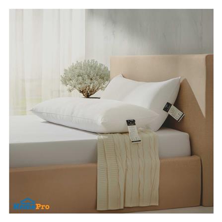 หมอน BODY ไมโครไฟเบอร์ LOTUS ATTITUDE ANTI-AGING 19x49 นิ้ว สีขาว_3