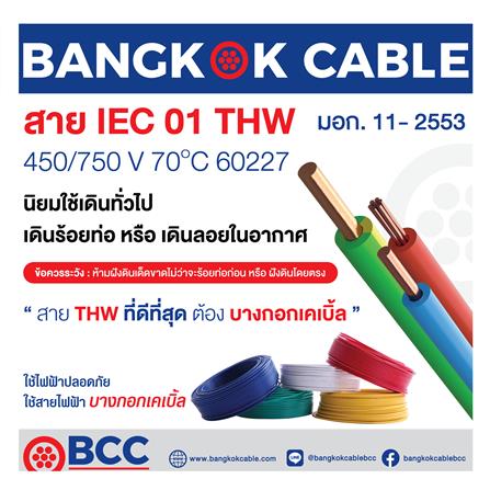 สายไฟ THW IEC01 BCC 1X35 ตร.มม 100 ม. สีดำ_2