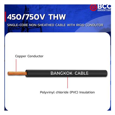 สายไฟ THW IEC01 BCC 1X35 ตร.มม 100 ม. สีดำ_3