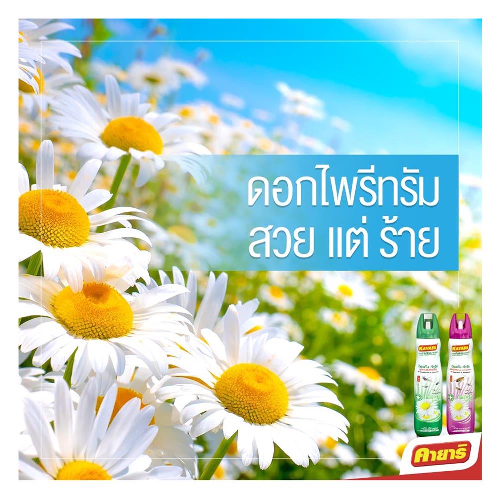 สเปรย์กำจัดยุง แมลงวัน และแมลงบิน KAYARI PYRETHRUM 300 มล. SHIZEN