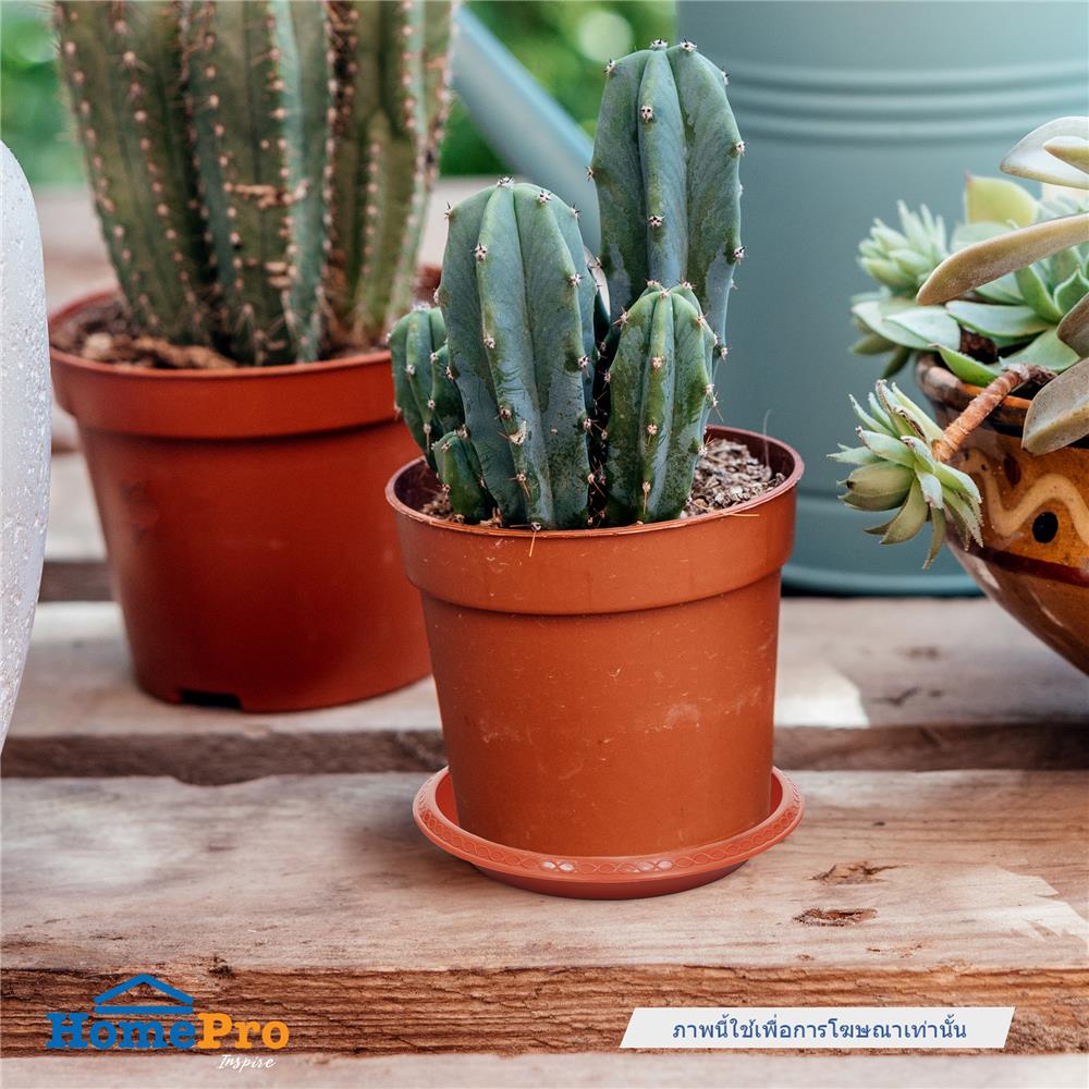 จานรองกระถาง SPRING 4 นิ้ว สีน้ำตาล