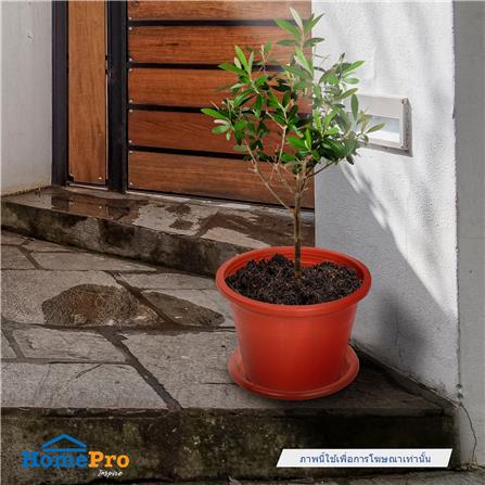 จานรองกระถาง SPRING 8 นิ้ว สีน้ำตาล_3