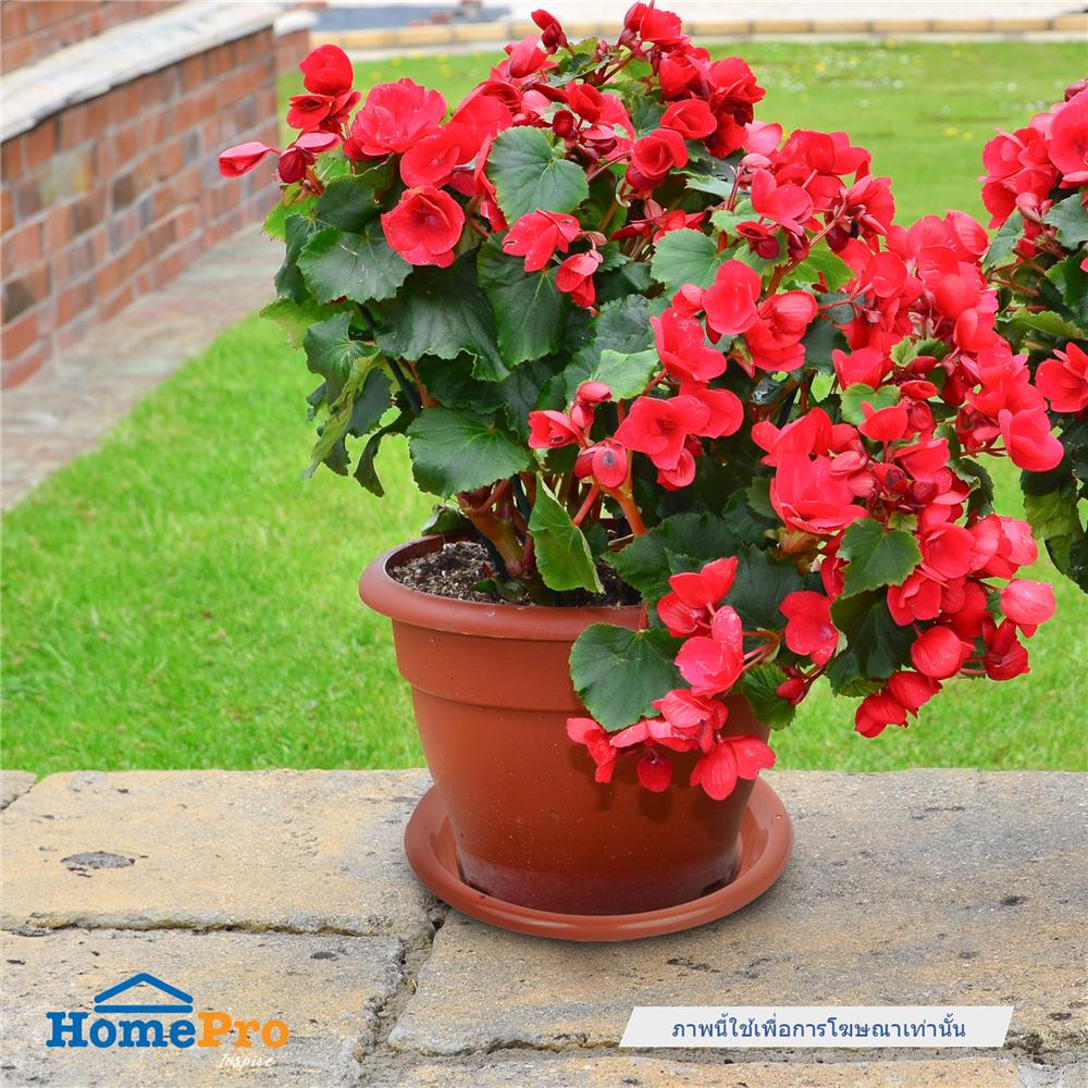 จานรองกระถาง SPRING 10 นิ้ว สีน้ำตาล