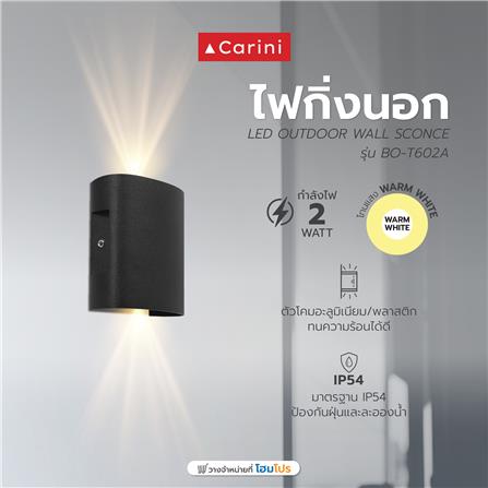 ไฟกิ่งภายนอก LED CARINI BO-T602A 2 วัตต์ WARM WHITE สีดำ_4