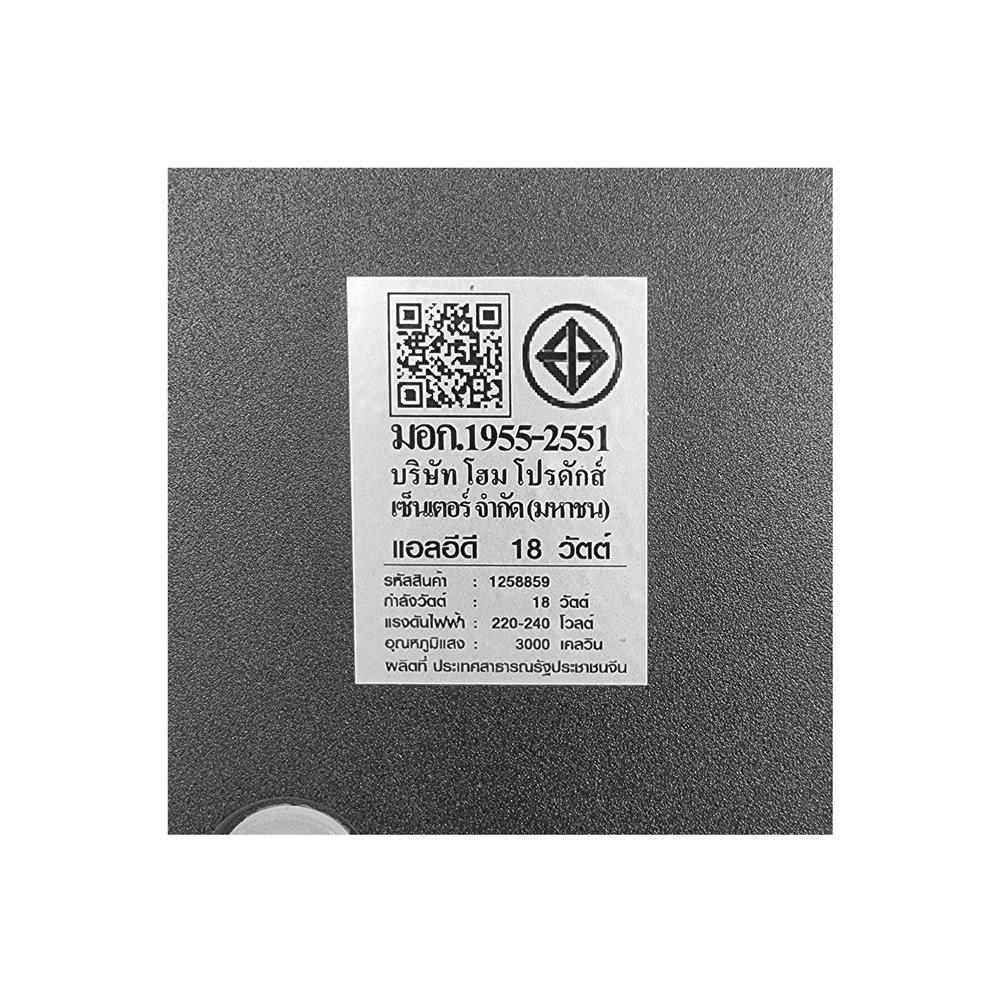 ไฟกิ่งภายนอก LED CARINI BO-WG501 18 วัตต์ WARM WHITE สีดำ