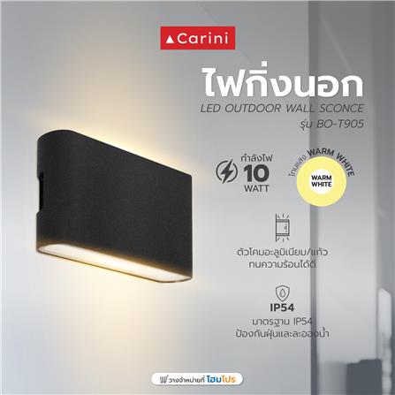 ไฟกิ่งภายนอก LED CARINI BO-T905 10 วัตต์ WARM WHITE สีดำ_5