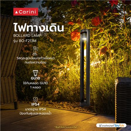 ไฟทางเดิน CARINI BO-F213M สีดำ_5