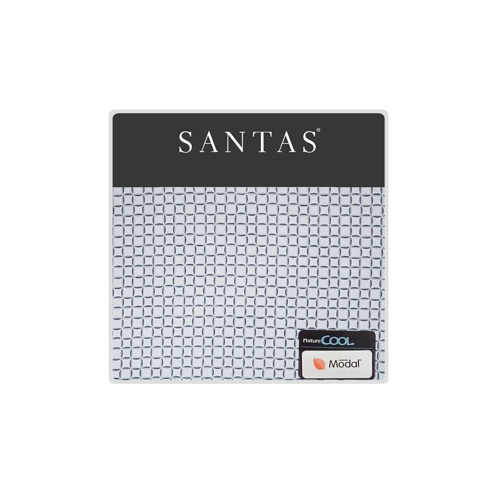 ชุดผ้าปูที่นอน 5 ฟุต 5 ชิ้น SANTAS FENDELS GR