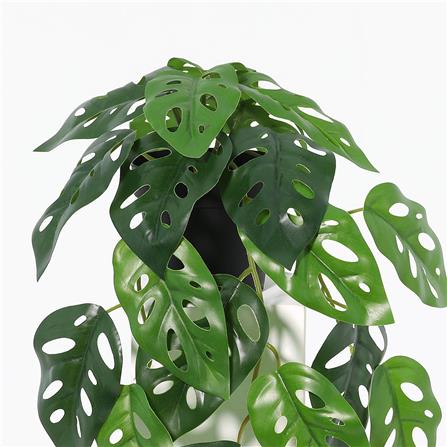 ต้นมอนสเตอร่าประดิษฐ์ใบเขียว SPRING 35 ซม._2