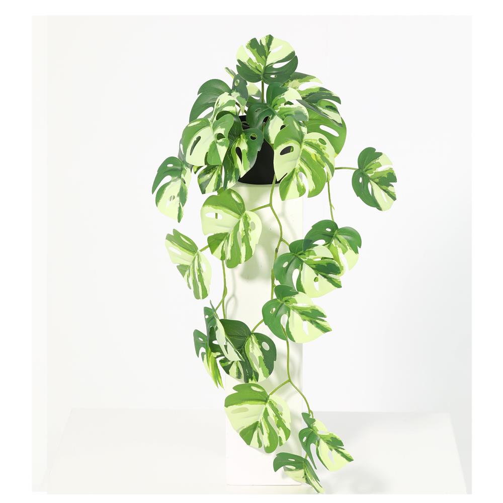 ต้นมอนสเตอร่าใบด่างประดิษฐ์ SPRING 57 ซม.