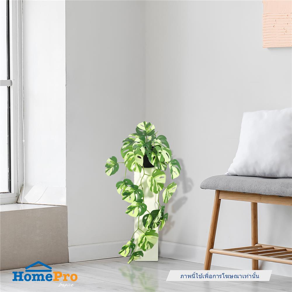 ต้นมอนสเตอร่าใบด่างประดิษฐ์ SPRING 57 ซม.