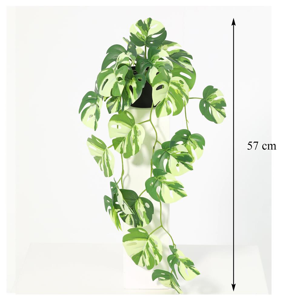 ต้นมอนสเตอร่าใบด่างประดิษฐ์ SPRING 57 ซม.