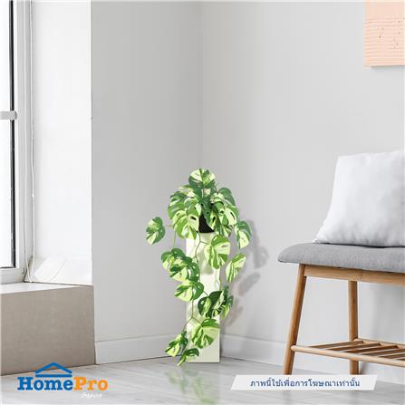 ต้นมอนสเตอร่าใบด่างประดิษฐ์ SPRING 57 ซม._3