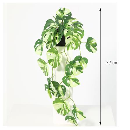 ต้นมอนสเตอร่าใบด่างประดิษฐ์ SPRING 57 ซม._4