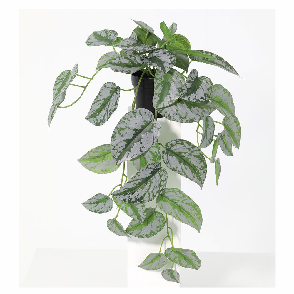 ต้นพลูหัวใจแนบประดิษฐ์ SPRING 48 ซม._1