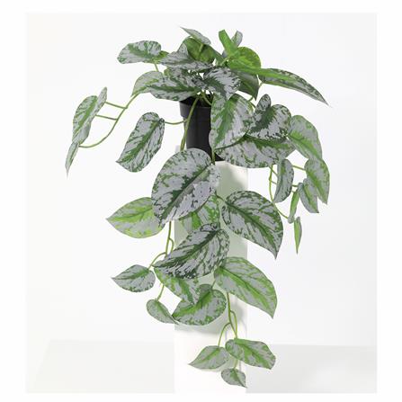 ต้นพลูหัวใจแนบประดิษฐ์ SPRING 48 ซม._0