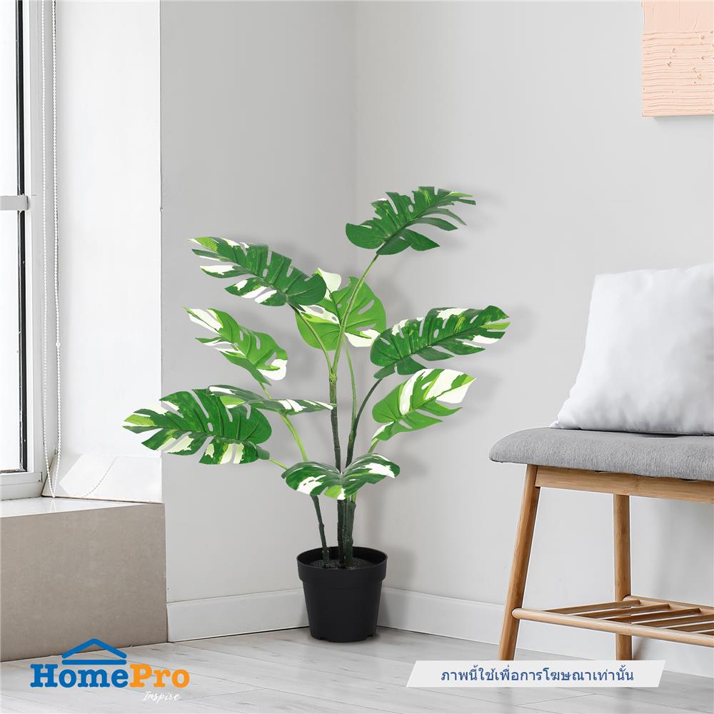 ต้นพลูฉีกใบด่างประดิษฐ์ SPRING 80 ซม.