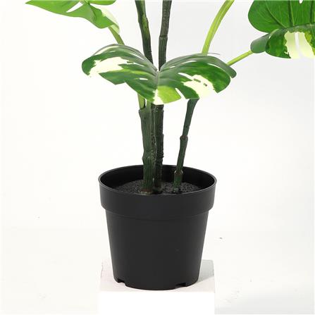 ต้นพลูฉีกใบด่างประดิษฐ์ SPRING 80 ซม._3