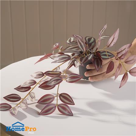 ต้นก้ามปูหลุดประดิษฐ์ SPRING 33 ซม._3