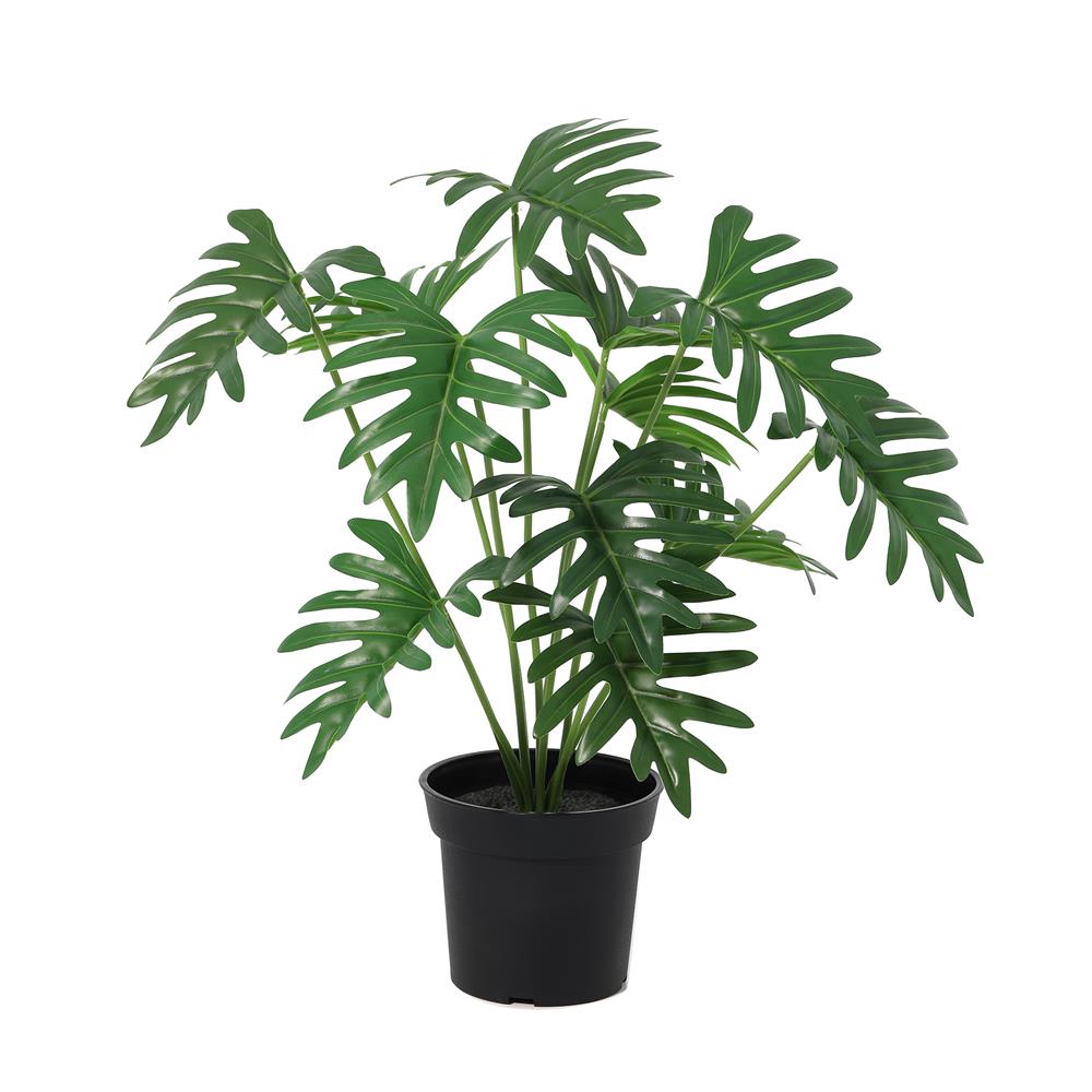 ต้นซานาดูประดิษฐ์ SPRING 63 ซม._1