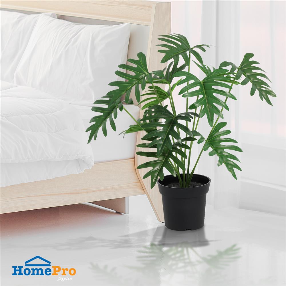 ต้นซานาดูประดิษฐ์ SPRING 63 ซม.