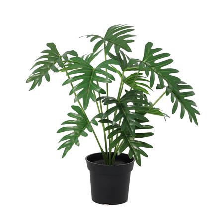 ต้นซานาดูประดิษฐ์ SPRING 63 ซม._0